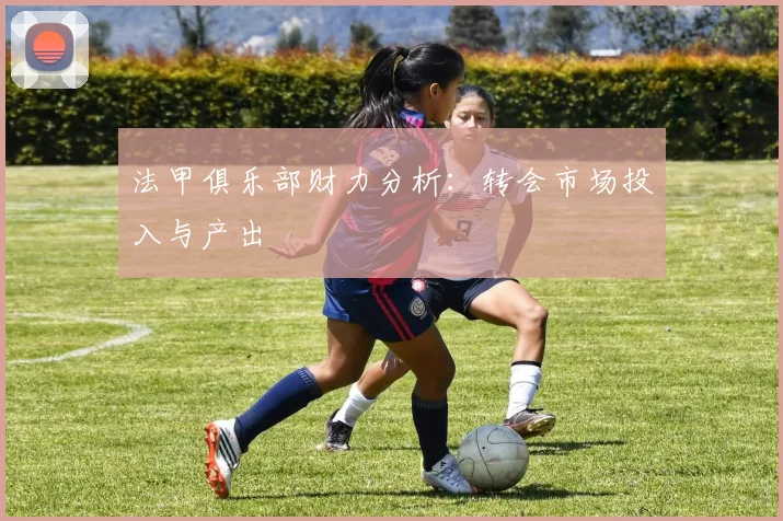 法甲俱乐部财力分析:转会市场投入与产出