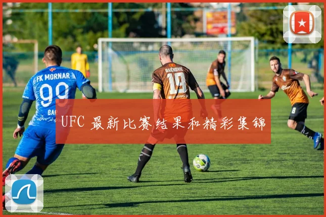 UFC 最新比赛结果和精彩集锦