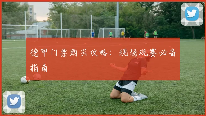 德甲门票购买攻略:现场观赛必备指南